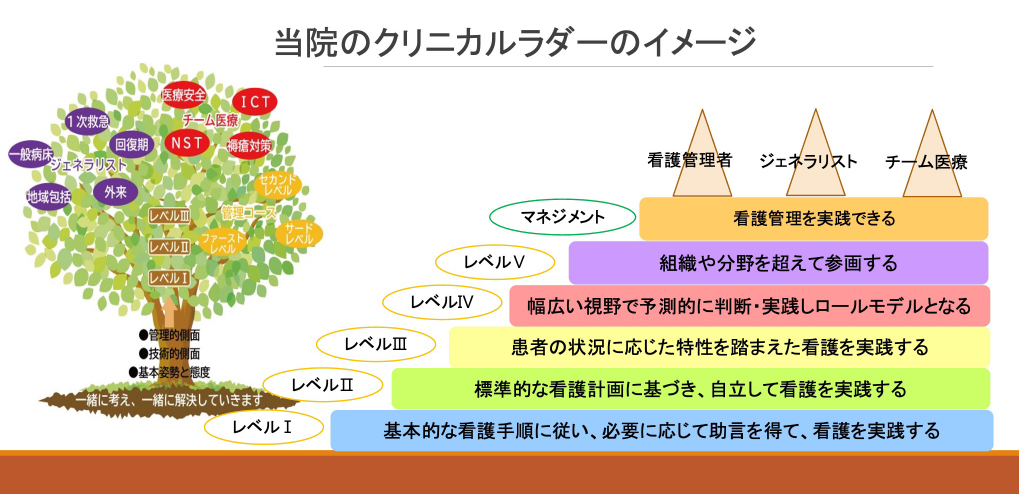 クリニカルラダーについて