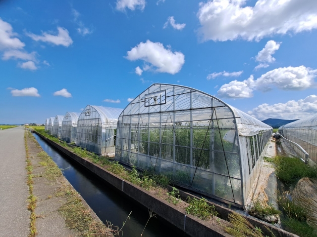 ビニールハウスと熱中症