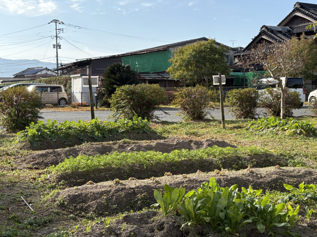くましろ館で種まき
