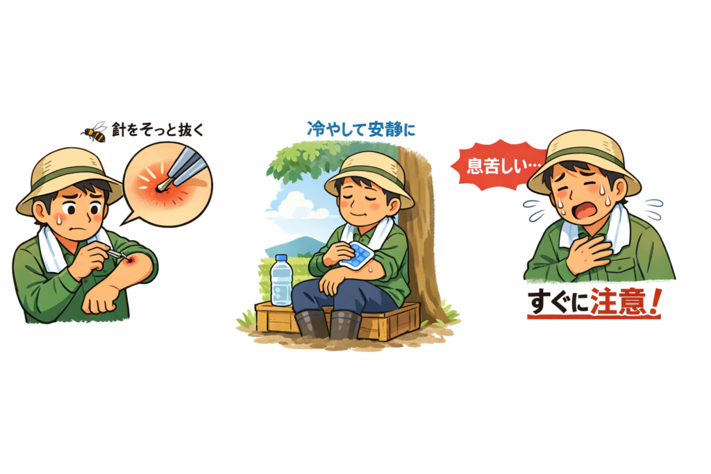 蜂に刺されてしまったら